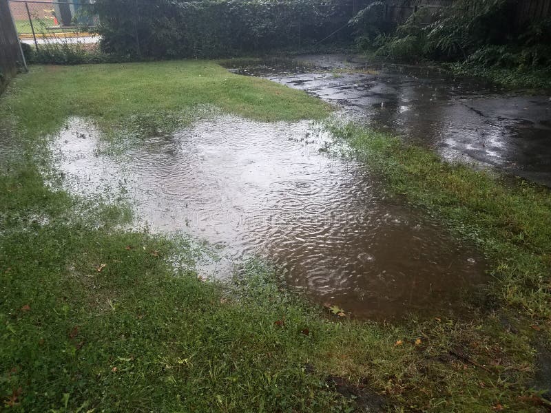 Large water puddle with rain drops in green grass and asphalt royalty free stock images Large water puddle with rain drops in green grass and asphalt royalty free stock images