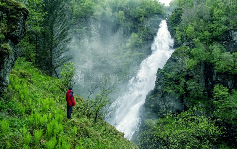 Deep Gorge With Green Moss And Trees Stock Photo Image Of Green