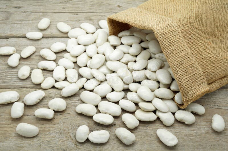 Large White Beans royalty free stock images