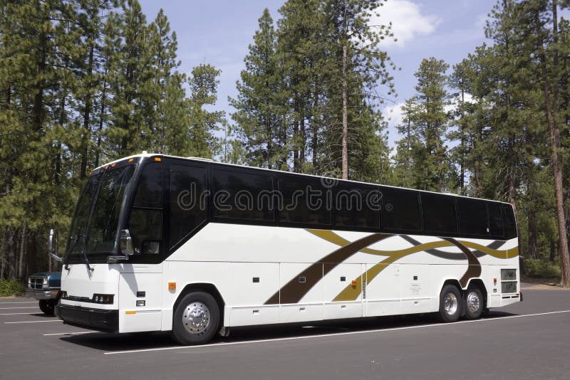 Large White Tour Bus In Forest Parking Lot stock photo