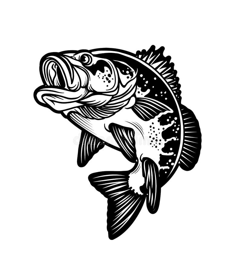 Largemouth Bass Black White Stock Illustrations – 349 Largemouth