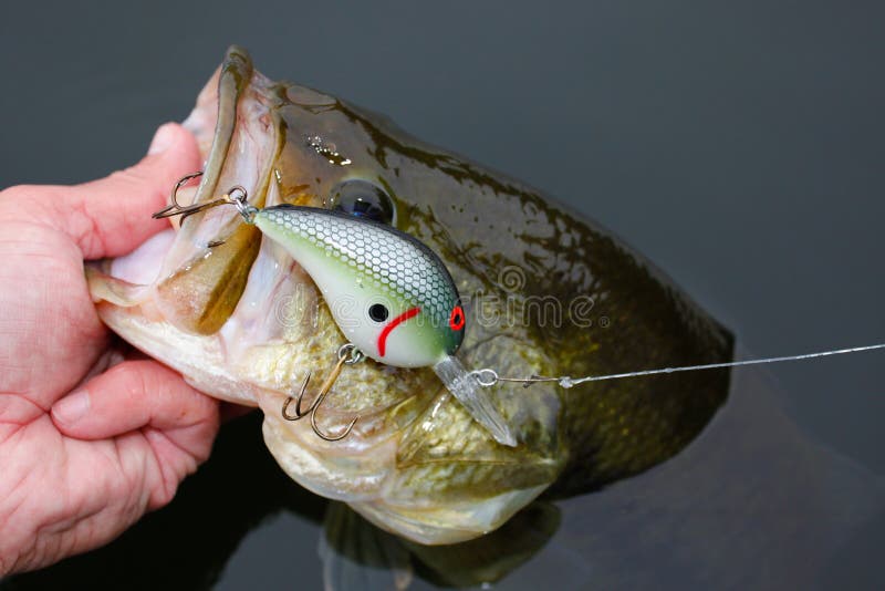 fishing planet largemouth bass lures