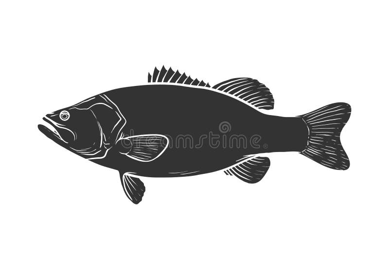 Free Free 67 Largemouth Bass Fish Svg Free SVG PNG EPS DXF File