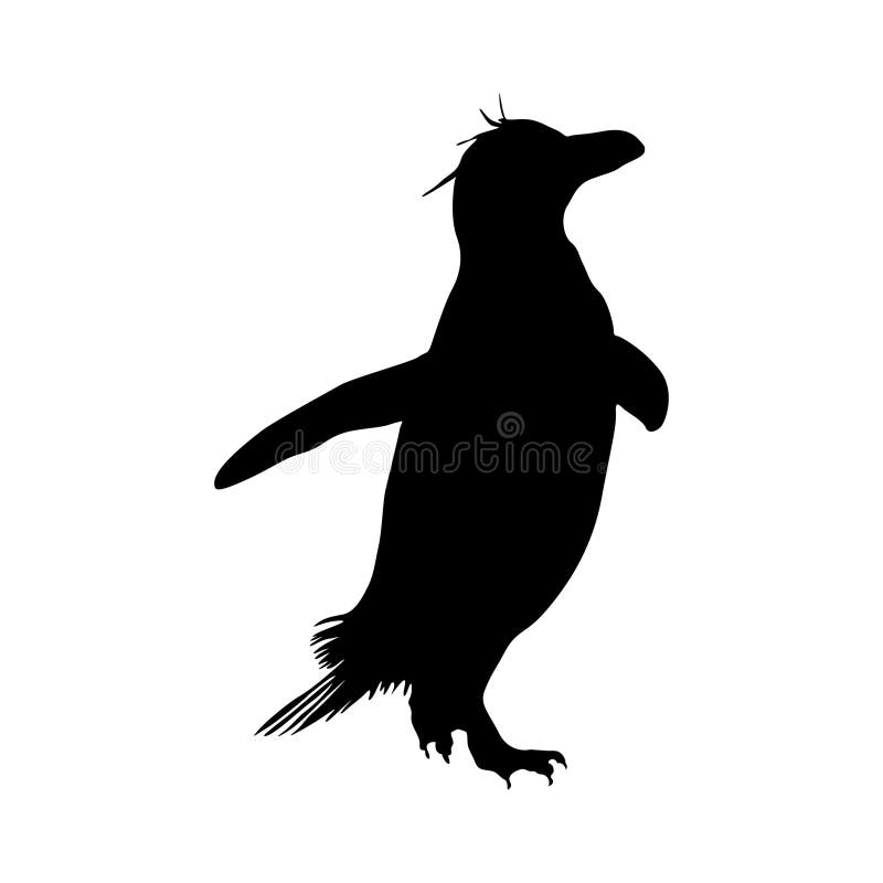 Black Upperparts Stock Illustrations 8 Black Upperparts Stock black-upperparts-stock-illustrations-8-black-upperparts-stock