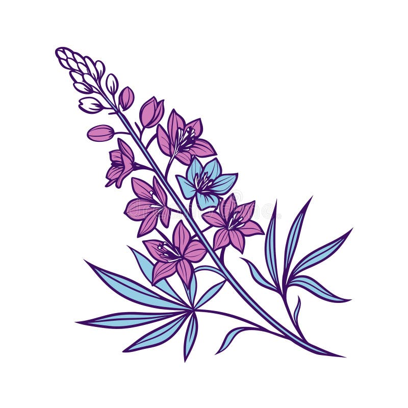 Larkspur Flower Illustration med fet kontur stock illustrationer