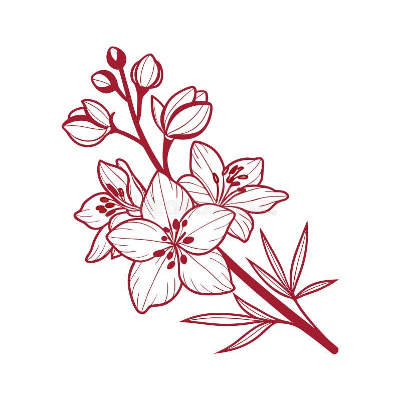Larkspur Flower Top Illustration med fet kontur royaltyfri illustrationer