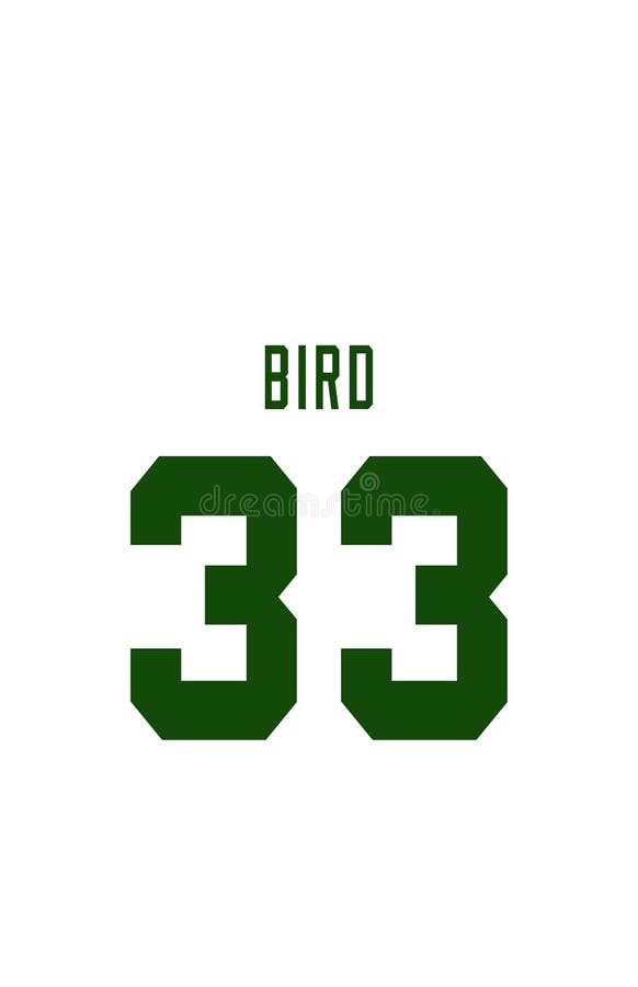 bird 33 celtics