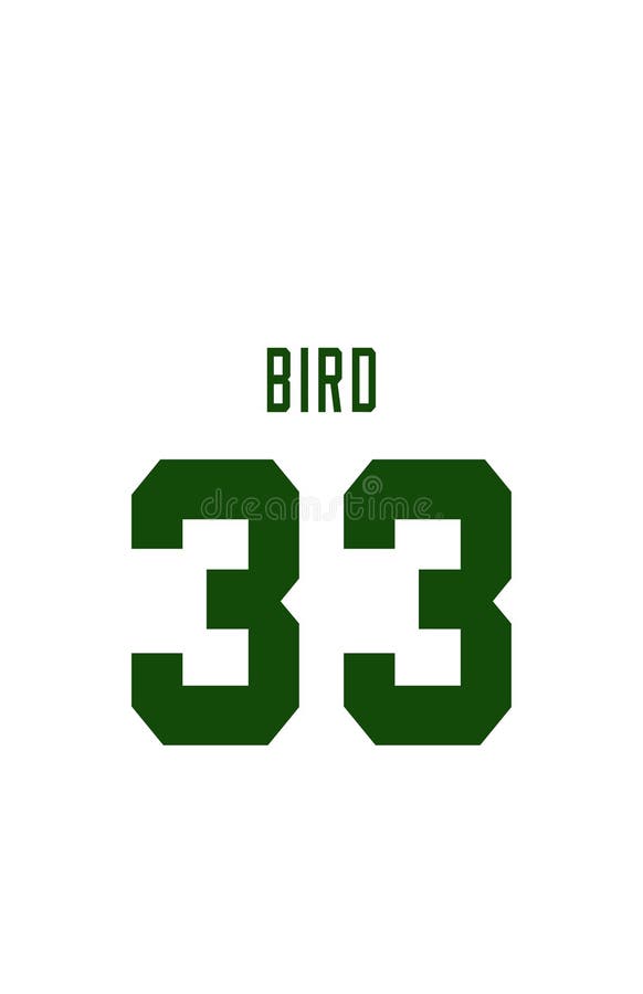 celtics jersey 33