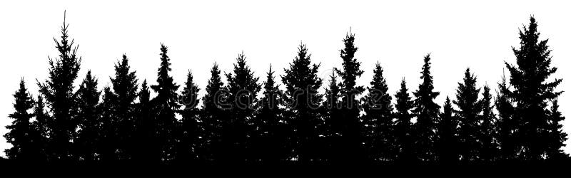 Las Bożenarodzeniowa jedlinowych drzew sylwetka Iglasta świerczyna Park wiecznozielony drewno Wektor na białym tle