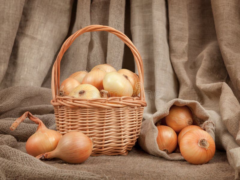 Las cebollas hermosas y maduras en una cesta en la tabla fotos de archivo libres de regalías Las cebollas hermosas y maduras en una cesta en la tabla fotos de archivo libres de regalías