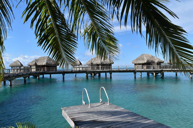 Las chozas tropicales del agua, casas de planta baja en vacaciones idílicas de la luna de miel de Bora Bora Tahiti con la palmera fotografía de archivo libre de regalías Las chozas tropicales del agua, casas de planta baja en vacaciones idílicas de la luna de miel de Bora Bora Tahiti con la palmera fotografía de archivo libre de regalías