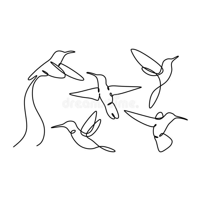 Las colecciones determinadas continuas del dibujo lineal del pájaro diseñan en el fondo blanco ilustración del vector