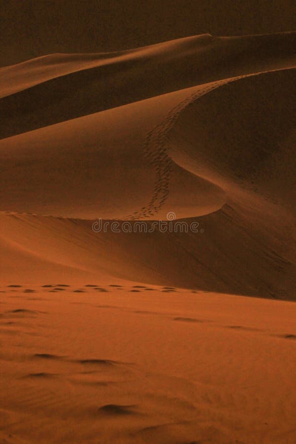 Las dunas de arena m?s altas del mundo en la puesta del sol en el desierto de Namib, en el parque nacional de Namib-Nacluft en Na fotografía de archivo Las dunas de arena m?s altas del mundo en la puesta del sol en el desierto de Namib, en el parque nacional de Namib-Nacluft en Na fotografía de archivo