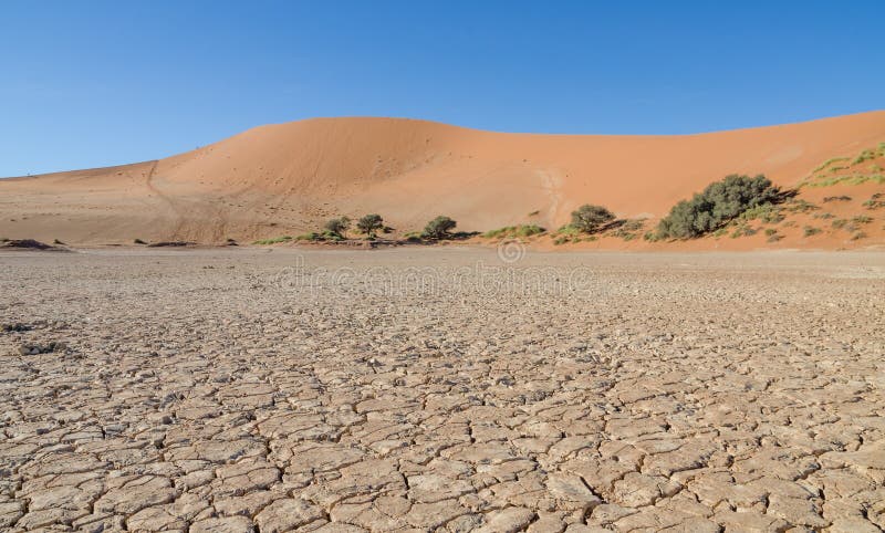 Las dunas de arena rojas elevadas hermosas y secan la superficie agrietada de la arcilla en Sossusvlei famoso en el desierto de N fotografía de archivo libre de regalías Las dunas de arena rojas elevadas hermosas y secan la superficie agrietada de la arcilla en Sossusvlei famoso en el desierto de N fotografía de archivo libre de regalías