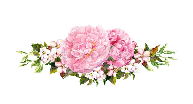 Las flores rosadas de la peonía, la manzana blanca o la cereza florece Acuarela en estilo del vintage stock de ilustración Las flores rosadas de la peonía, la manzana blanca o la cereza florece Acuarela en estilo del vintage stock de ilustración
