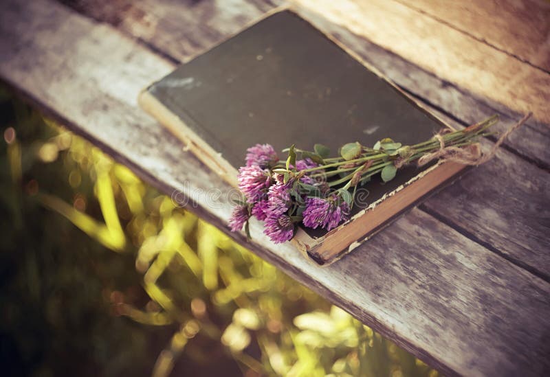 Las flores rosadas del trébol mienten así como el libro cerrado en una tabla de madera fotografía de archivo libre de regalías Las flores rosadas del trébol mienten así como el libro cerrado en una tabla de madera fotografía de archivo libre de regalías