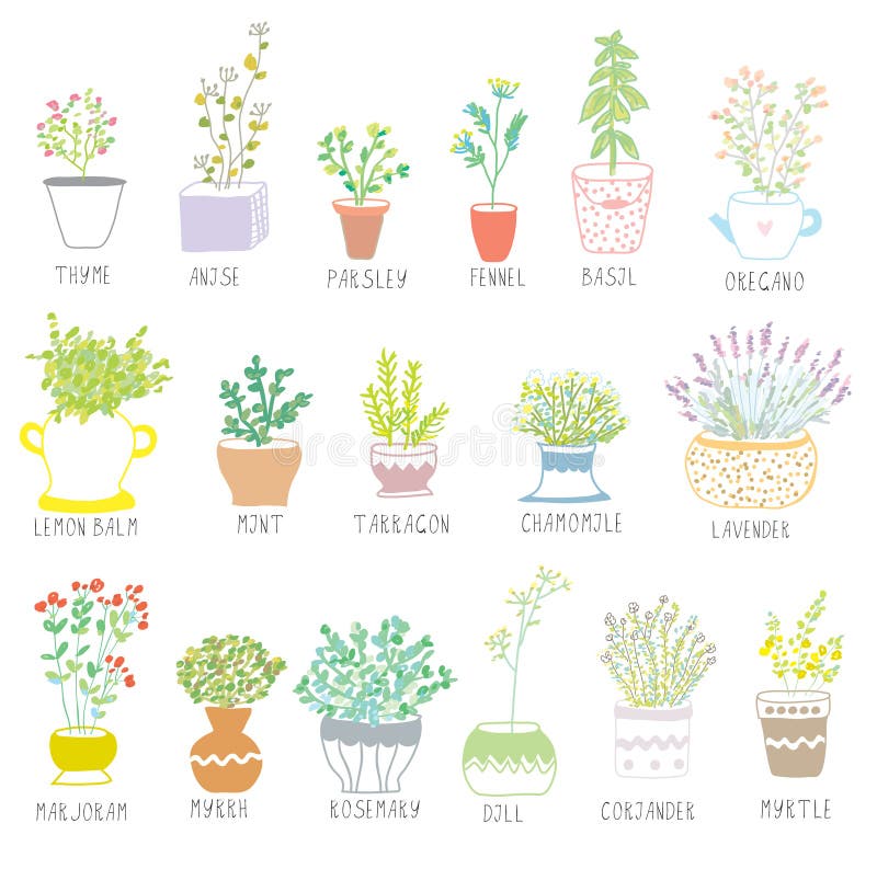 Las hierbas y las especias fijaron en potes con las flores ilustración del vector Las hierbas y las especias fijaron en potes con las flores ilustración del vector