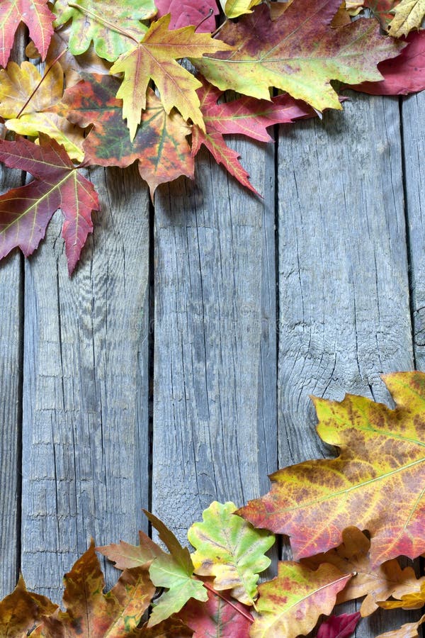 Las Hojas De Otoño En Vintage Suben Al Fondo Foto de archivo - Imagen de  wallpaper, dorado: 33727380