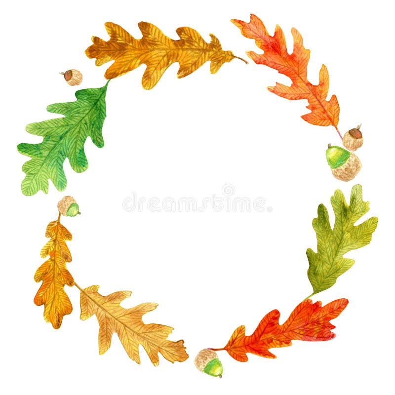 Las hojas y las bellotas del roble del otoño enrruellan stock de ilustración Las hojas y las bellotas del roble del otoño enrruellan stock de ilustración