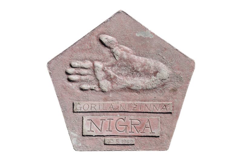 Las huellas de un gorila nombraron a Nigra fotos de archivo Las huellas de un gorila nombraron a Nigra fotos de archivo
