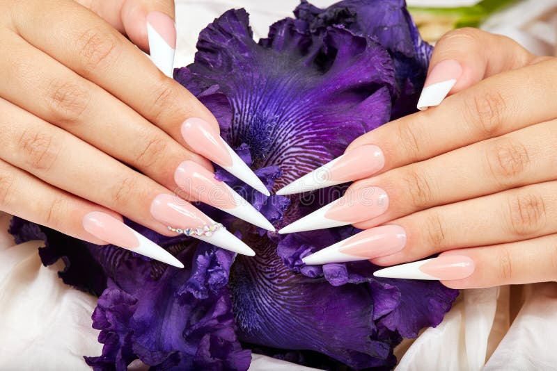 Las manos con el francés artificial largo manicured clavos y una flor púrpura del iris foto de archivo