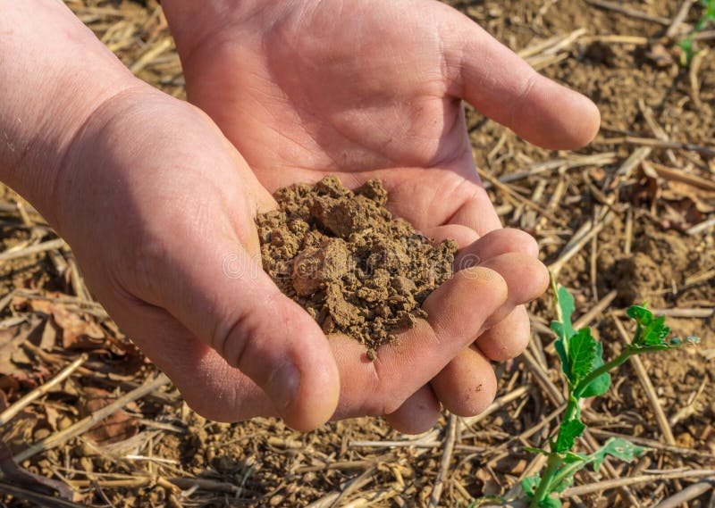 Las manos del hombre que sostienen el suelo en campo de la primavera Cierre para arriba fotos de archivo Las manos del hombre que sostienen el suelo en campo de la primavera Cierre para arriba fotos de archivo