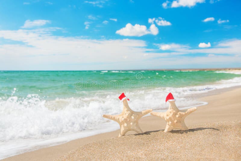 las Mar-estrellas se juntan en los sombreros de santa que caminan en la playa del mar foto de archivo las Mar-estrellas se juntan en los sombreros de santa que caminan en la playa del mar foto de archivo