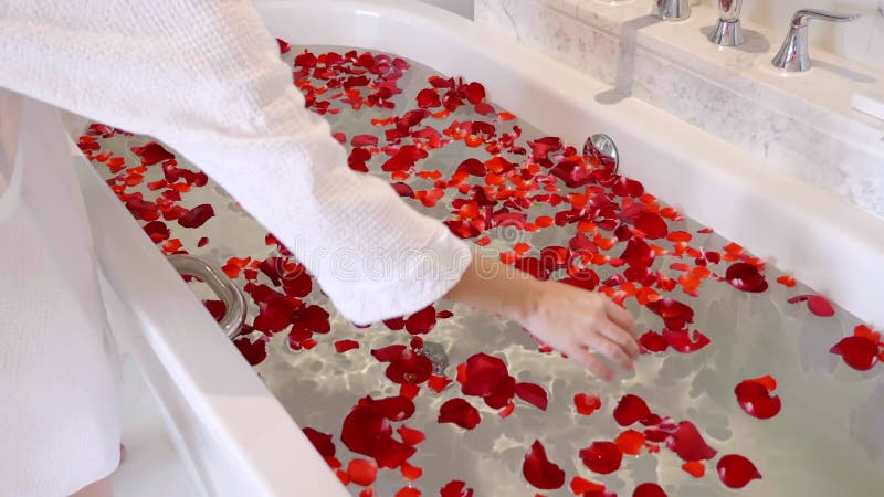 Las mujeres manos en el albornoz preparan pétalos de rosa rojo en el baño para fotosesión