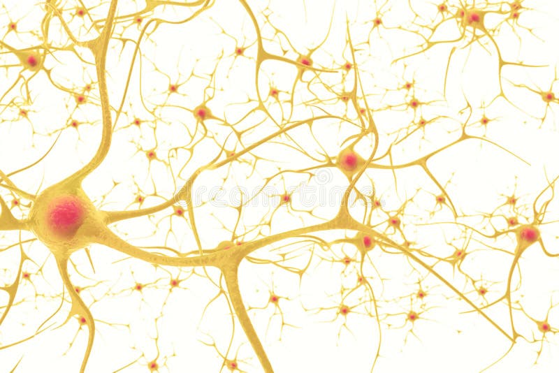 Las neuronas en el sistema nervioso humano con el efecto de la profundidad colocan ilustración 3d en un fondo blanco
