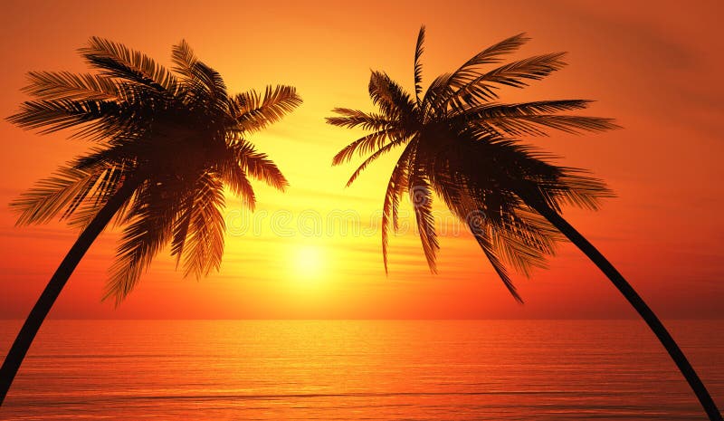 Las palmeras siluetean puesta del sol tropical del océano fotografía de archivo libre de regalías Las palmeras siluetean puesta del sol tropical del océano fotografía de archivo libre de regalías