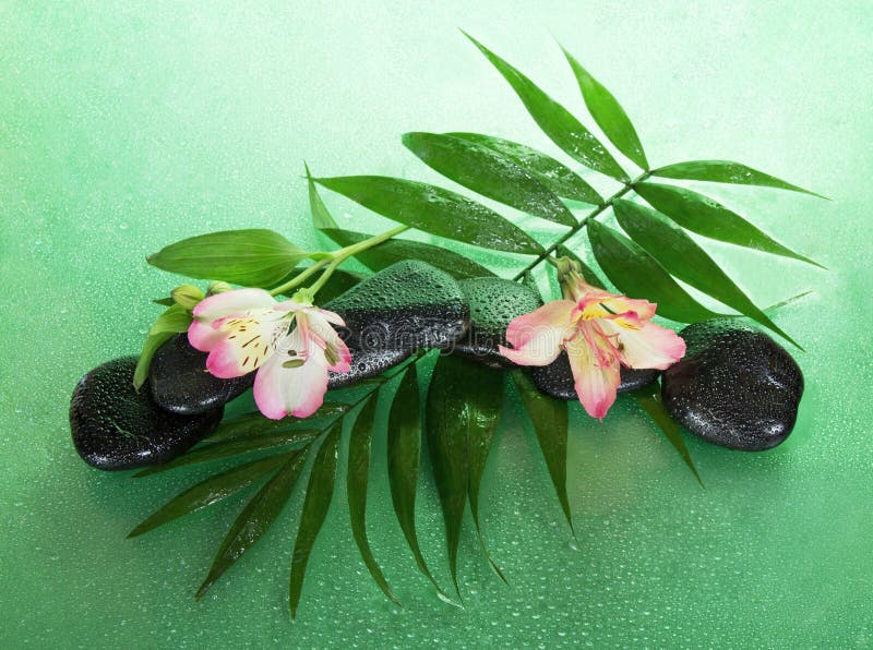 Las piedras mojadas y el alstroemeria florecen en una hoja del howea imagen de archivo libre de regalías Las piedras mojadas y el alstroemeria florecen en una hoja del howea imagen de archivo libre de regalías