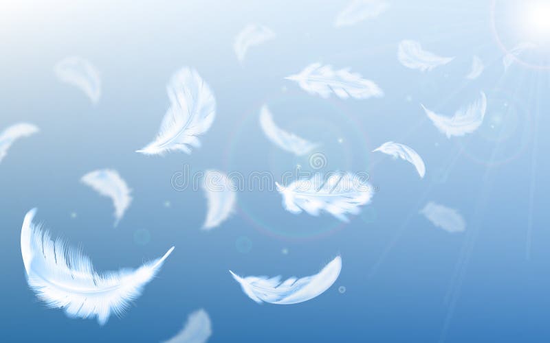 Las plumas blancas vuelan al aire sobre fondo azul del cielo libre illustration Las plumas blancas vuelan al aire sobre fondo azul del cielo libre illustration