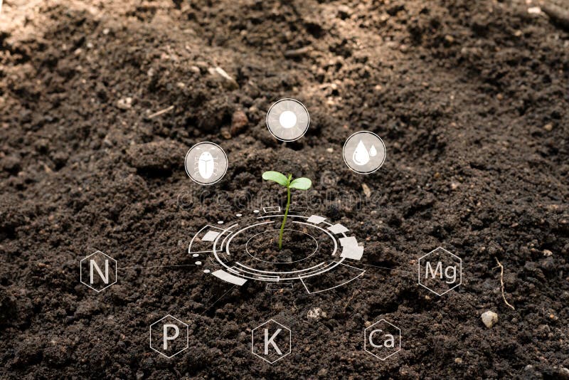 Las plántulas crecen a partir de suelo fértil con icono digital unido a otros nutrientes esenciales para el crecimiento vegetal.