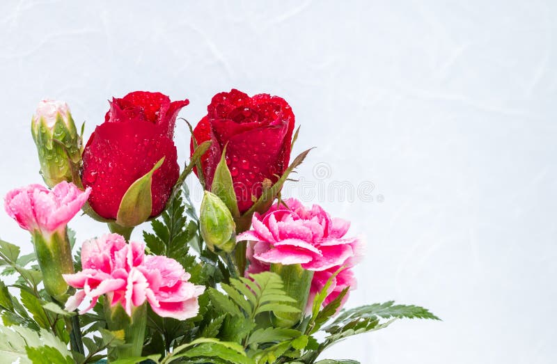 Las rosas rojas y el clavel rosado florece en el CCB del papel de mora blanca imagen de archivo libre de regalías Las rosas rojas y el clavel rosado florece en el CCB del papel de mora blanca imagen de archivo libre de regalías