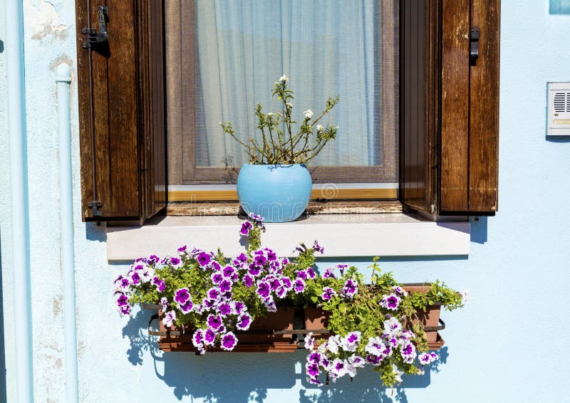 VENTANAS Y JARDINES DECORADAS Las-ventanas-hermosas-con-la-ejecuci%C3%B3n-florecen-en-la-isla-de-burano-venecia-italia-63556049