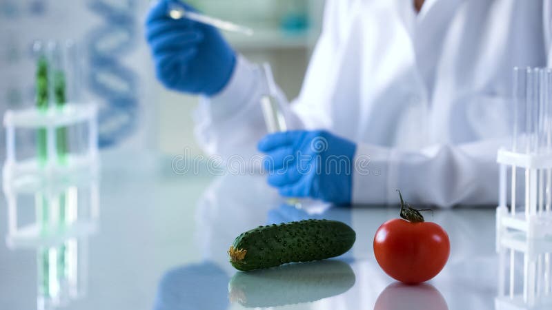 Las verduras que mentían en la tabla del laboratorio genético modificaron los estudios de la comida, cría fotos de archivo Las verduras que mentían en la tabla del laboratorio genético modificaron los estudios de la comida, cría fotos de archivo