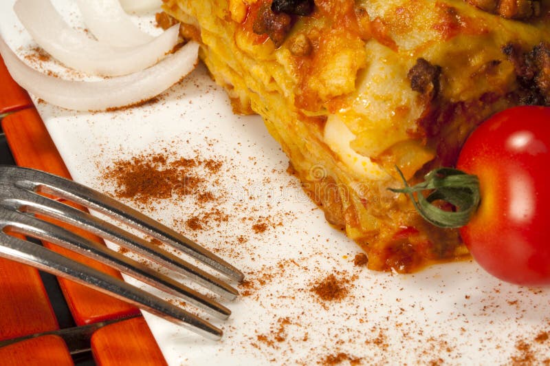 Lasagna Bologna Style stock photo. Image of appetizer 10059412
