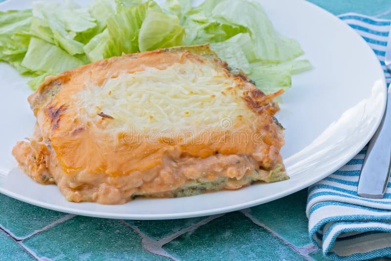 Lasagna with Salmon and Spinach Stock Image Image of lasagna, plate