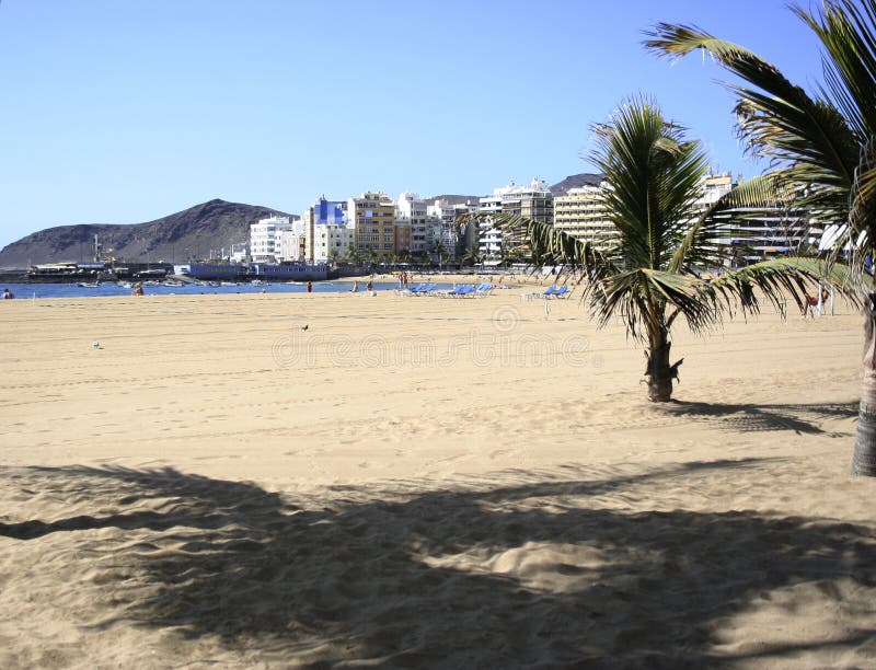 LASCANTERAS 6