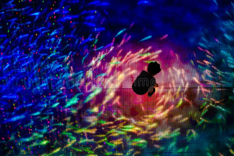 Why can`t I catch a fish? Child playing with laser animation. Beyond reach concept