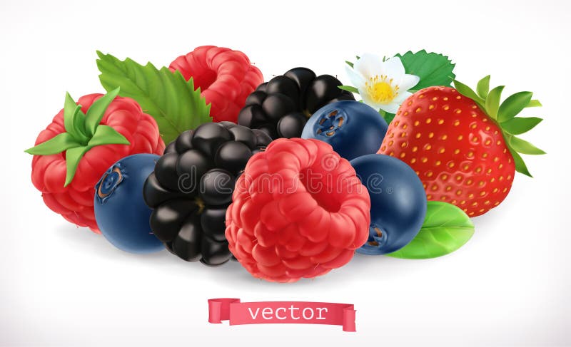 Lasowe owoc i jagody Malinka, truskawka, czernica i czarna jagoda, 3d ikona wektor