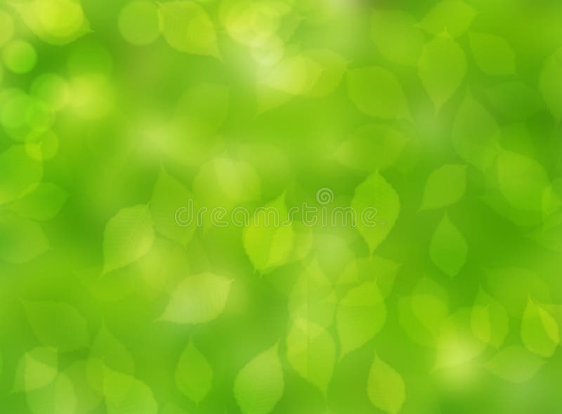 Lassen Sie grünen Herbstnaturunschärfe bokeh Hintergrund stockbild Lassen Sie grünen Herbstnaturunschärfe bokeh Hintergrund stockbild