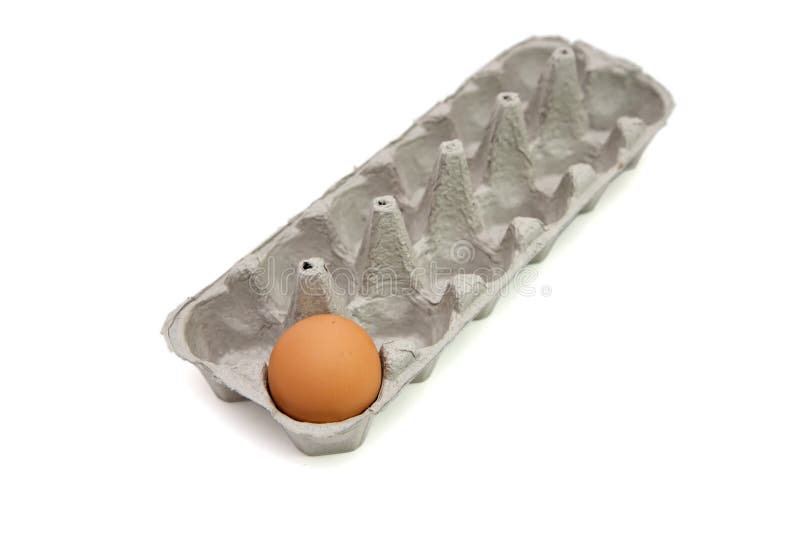 Last brown egg in box isolated