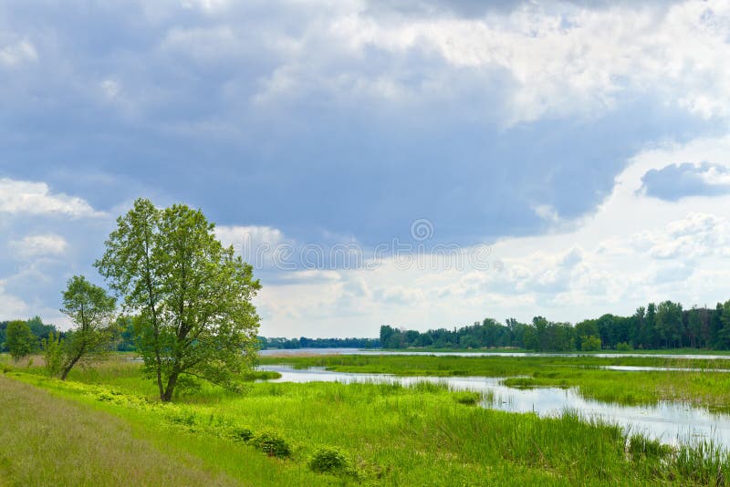 The last wild places. Flood waters of Narew river.