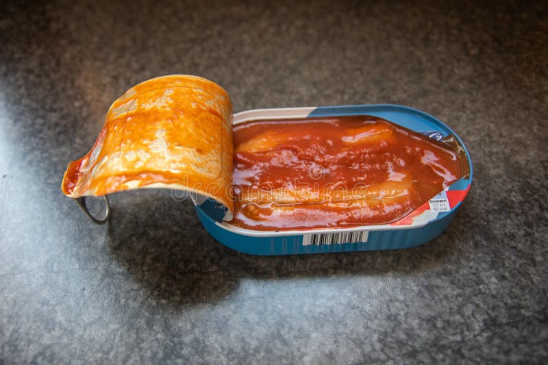 Lata abierta de arenque foto de archivo. Imagen de escalas - 269852256