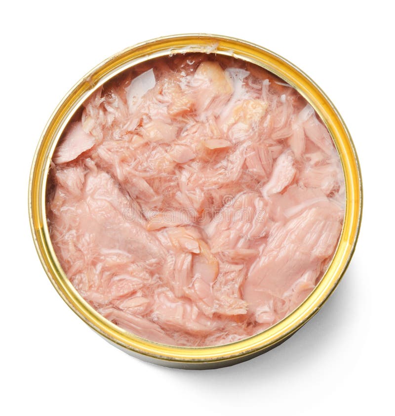 Lata de lata aberta com o atum isolado no branco Close-up imagem de stock Lata de lata aberta com o atum isolado no branco Close-up imagem de stock