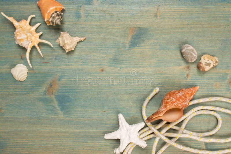 Lata tło na drewnie z seashell i arkaną, kopii przestrzeń obrazy stock