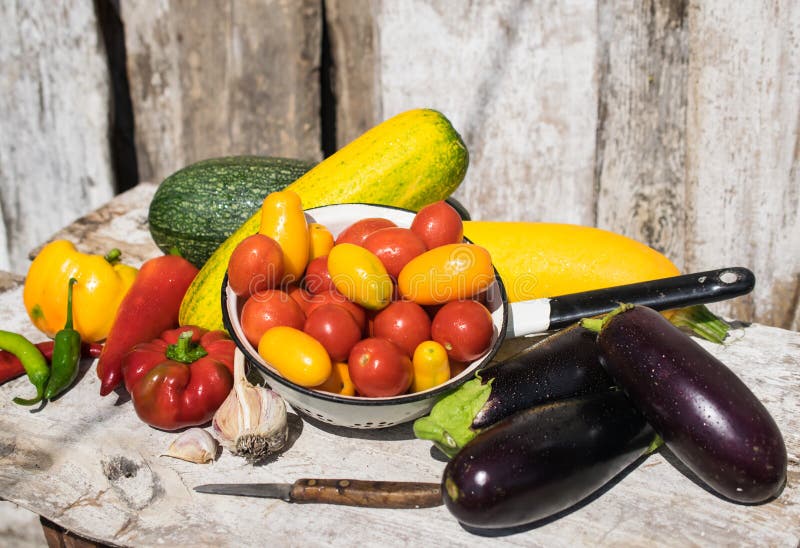 Lata żniwo świezi i zdrowi organicznie warzywa zdjęcia stock Lata żniwo świezi i zdrowi organicznie warzywa zdjęcia stock