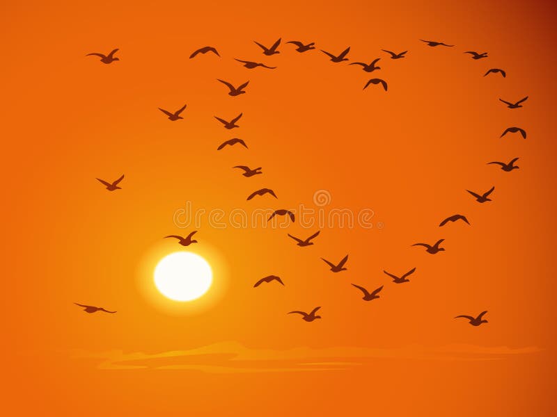 Silhouettes of flying flock birds (in shape of heart) against a sunset and the orange sky for valentines day. Silhouettes of flying flock birds (in shape of heart) against a sunset and the orange sky for valentines day.