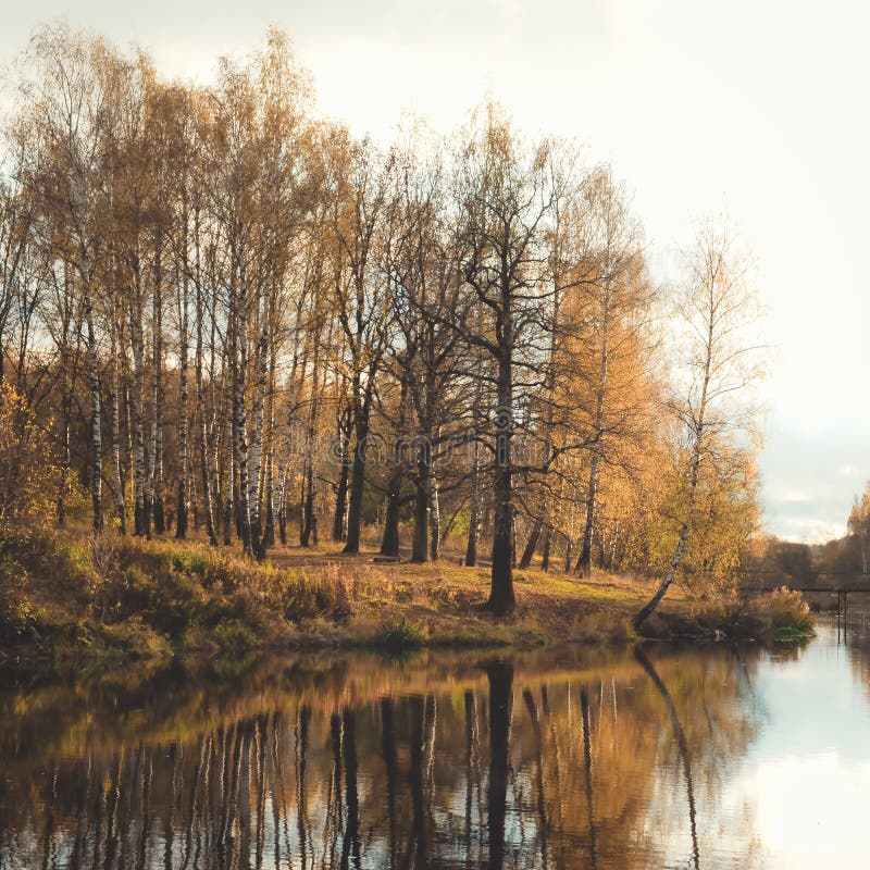 Late Autumn Landscape. Trees on the Opposite Coast Reflect in the Water ...